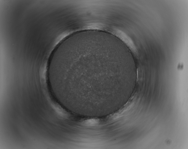 X0000102860156200808251234