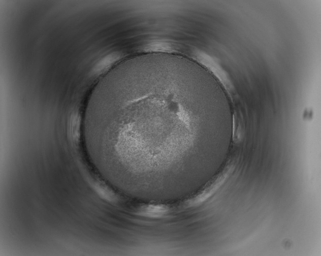 X0000102860157200808251234