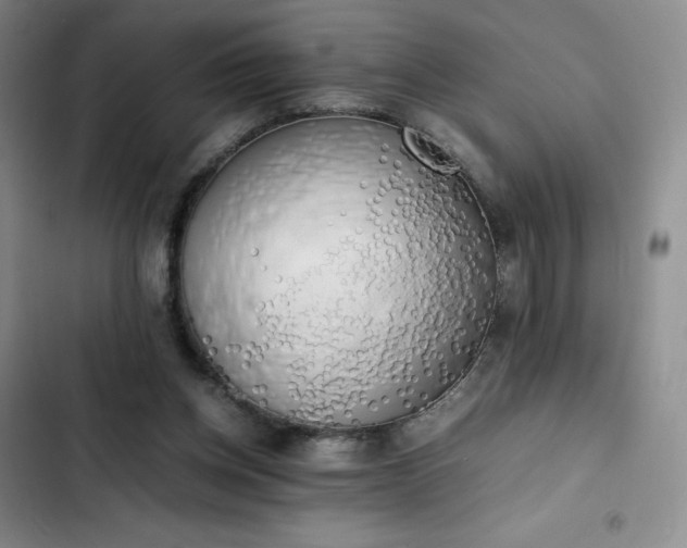 X0000102860158200808251234