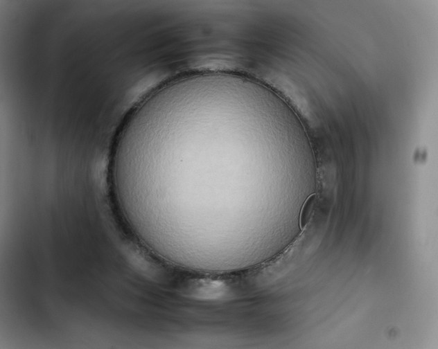 X0000102860159200808251234