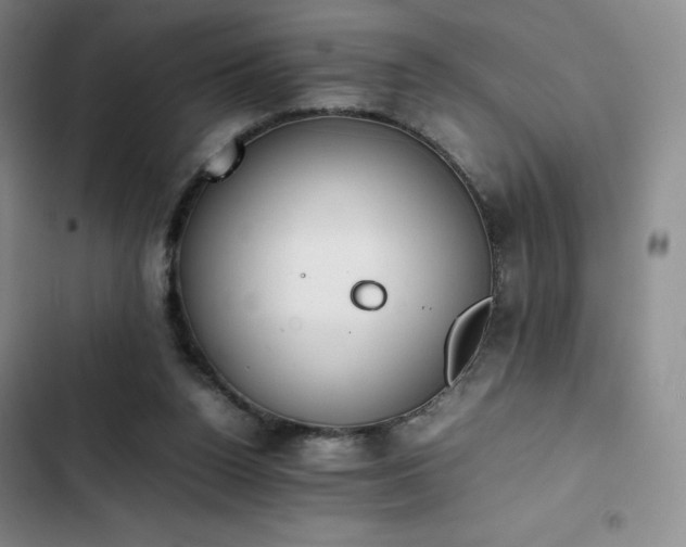 X0000102860160200808251234