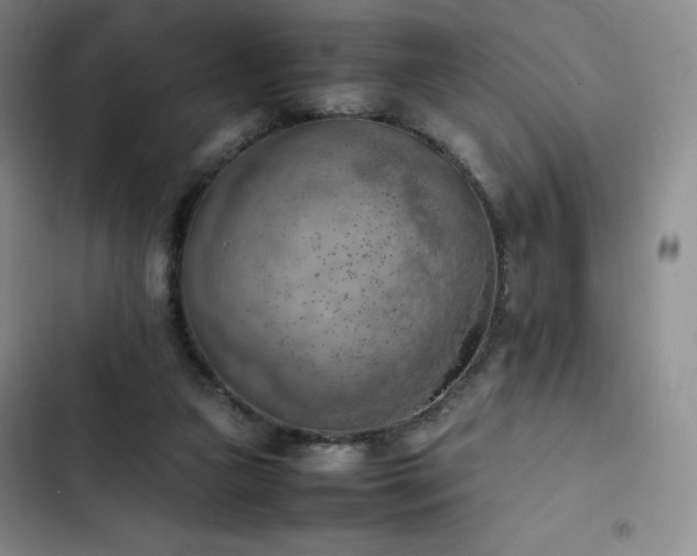 X0000102860161200808251234