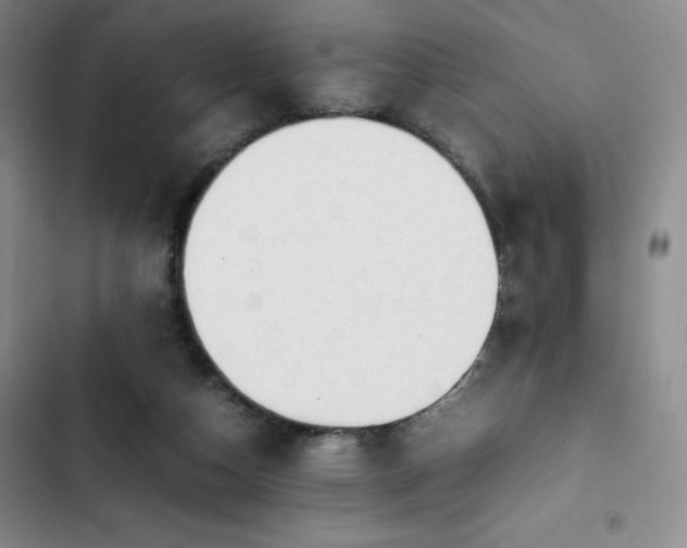 X0000102860162200808251234