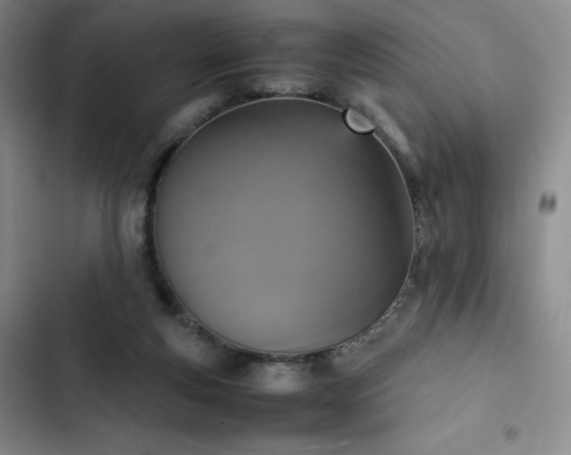 X0000102860163200808251234