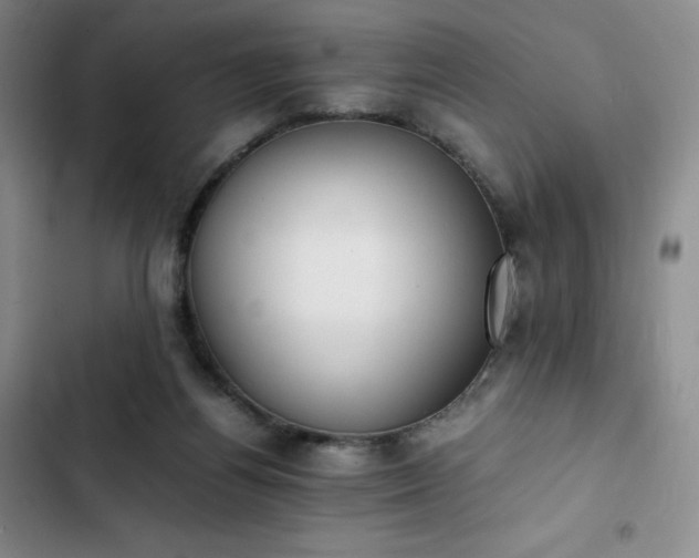 X0000102860164200808251234