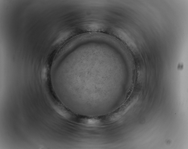 X0000102860165200808251234