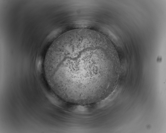 X0000102860166200808251234