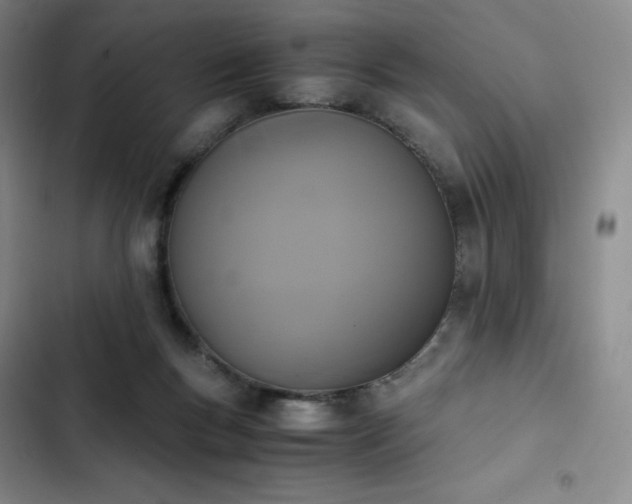 X0000102860167200808251234