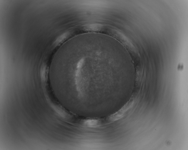 X0000102860168200808251234