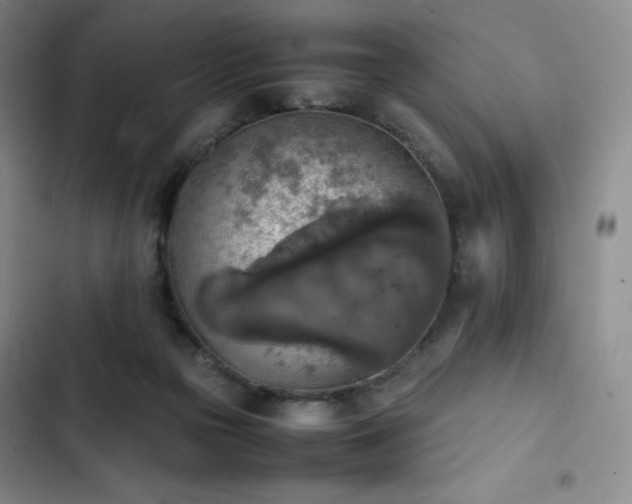 X0000102860169200808251234