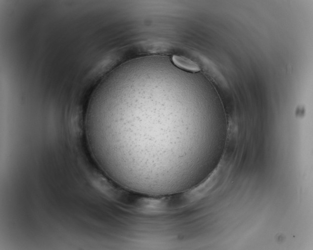 X0000102860170200808251234