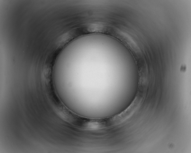 X0000102860171200808251234