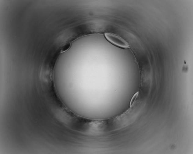 X0000102860172200808251234