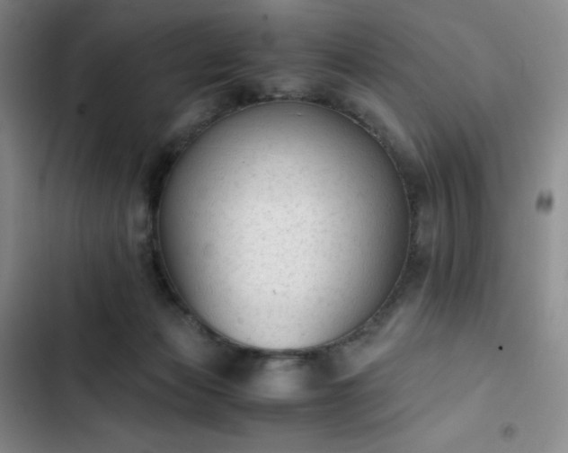 X0000102860173200808251235