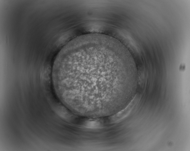 X0000102860175200808251235