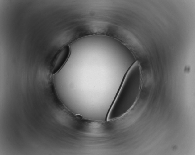 X0000102860176200808251235