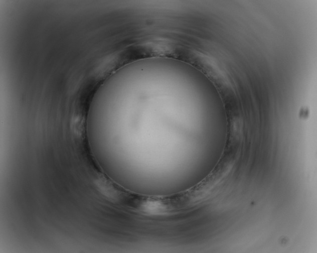 X0000102860177200808251235