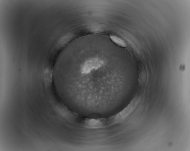 X0000102860180200808251235