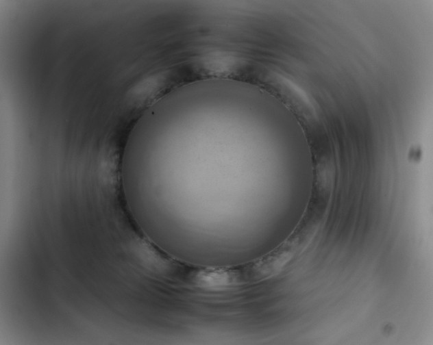 X0000102860181200808251235