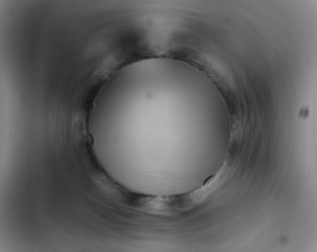 X0000102860182200808251235