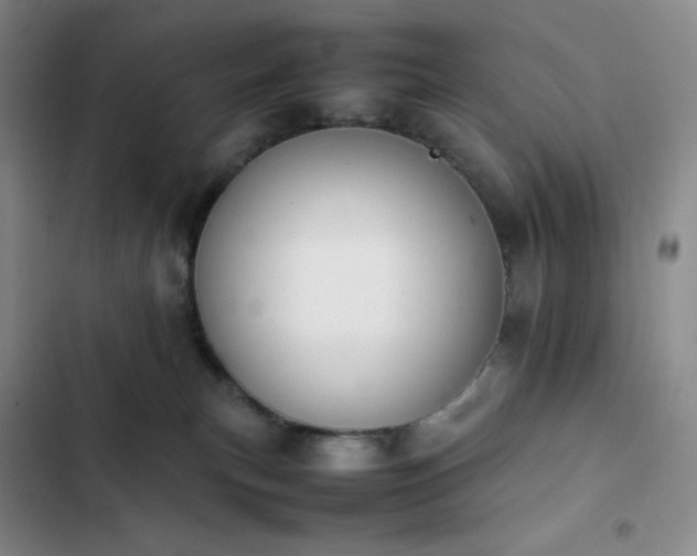 X0000102860183200808251235