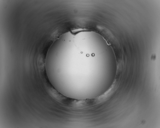 X0000102860186200808251235