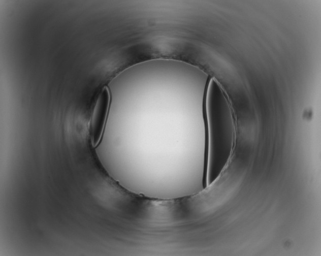 X0000102860188200808251235