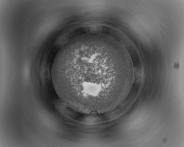 X0000102860189200808251235