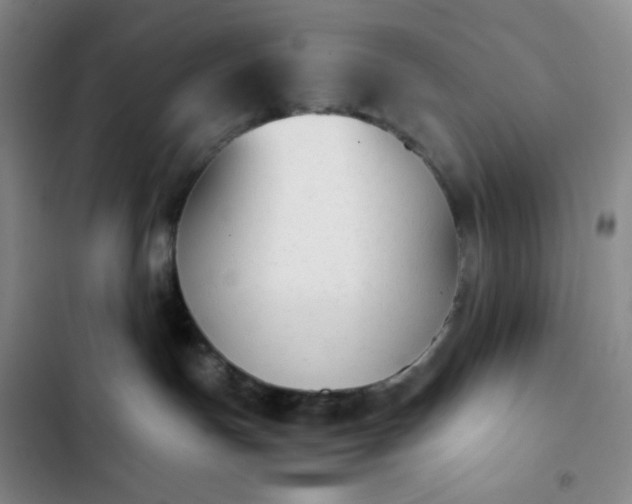 X0000102860191200808251235