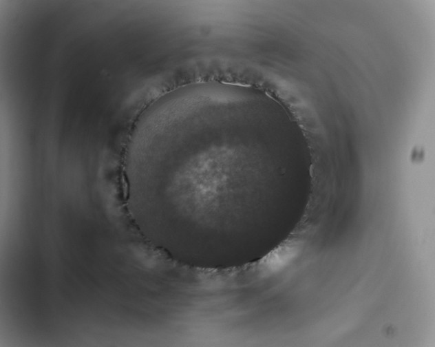 X0000102860192200808251235