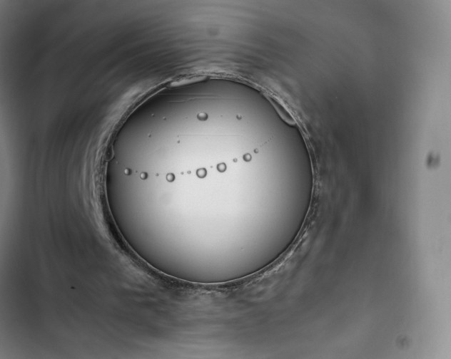 X0000102860193200808251234