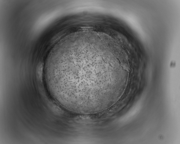 X0000102860194200808251234