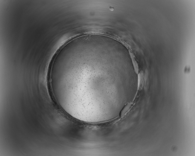 X0000102860195200808251234