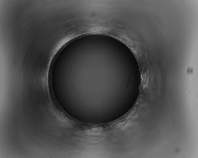 X0000102860196200808251234