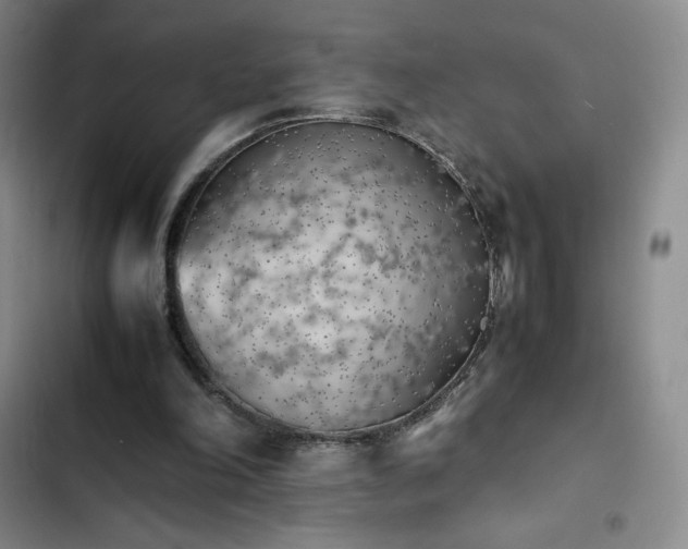 X0000102860198200808251234