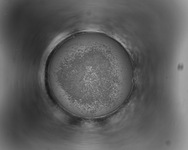 X0000102860199200808251234