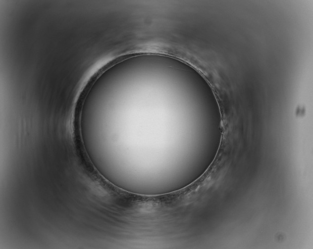 X0000102860200200808251234