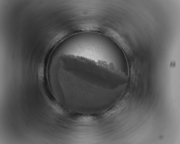 X0000102860202200808251234