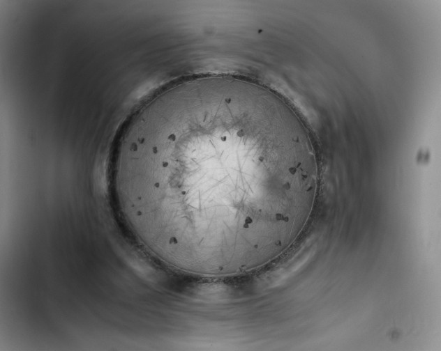 X0000102860203200808251234