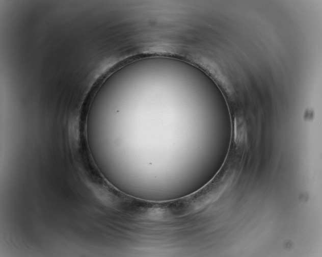 X0000102860204200808251234