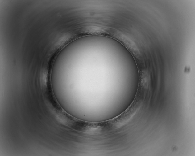 X0000102860206200808251234