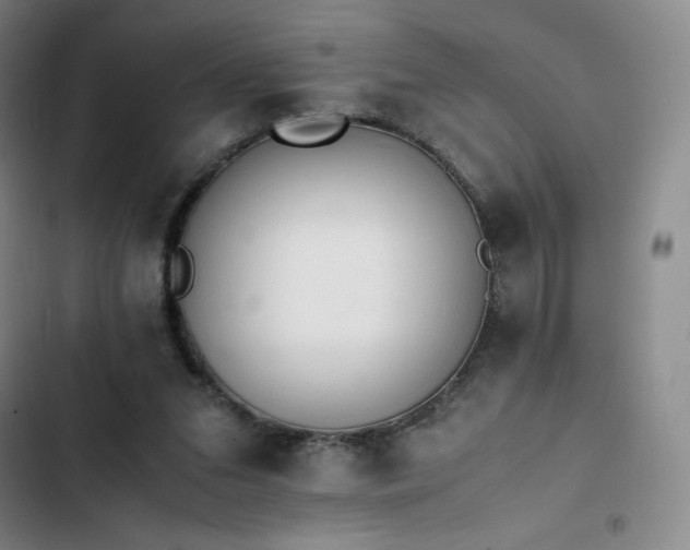 X0000102860207200808251234