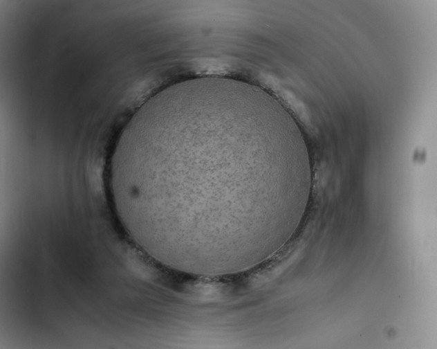 X0000102860209200808251234