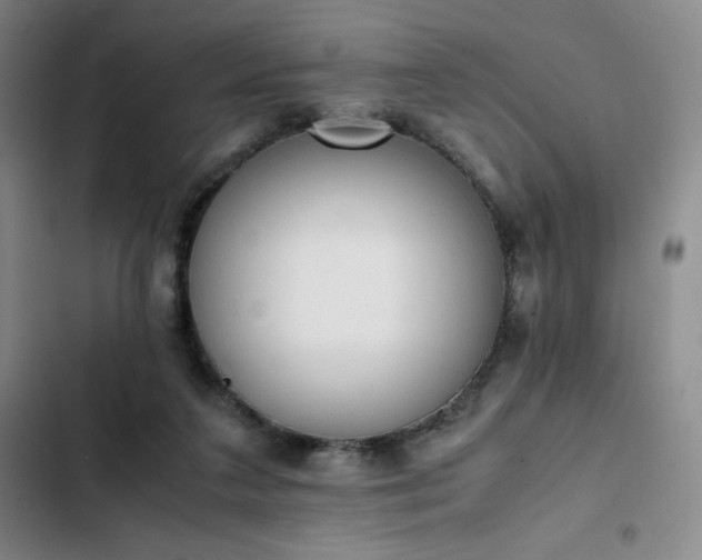 X0000102860211200808251234