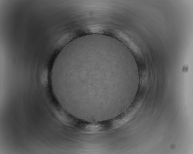 X0000102860213200808251234