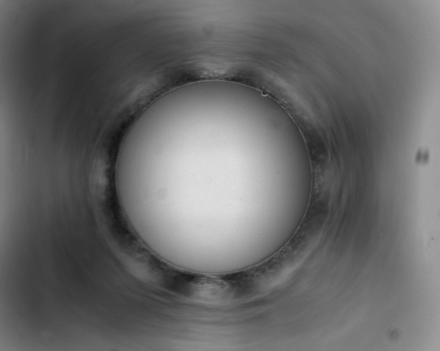 X0000102860215200808251234