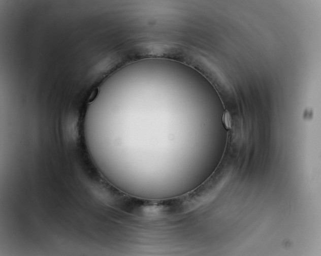 X0000102860216200808251234