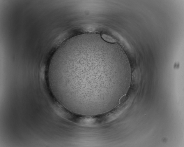 X0000102860217200808251234