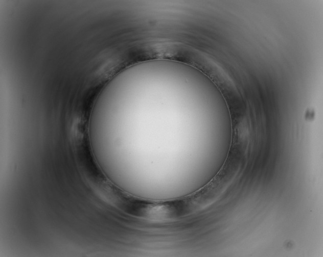 X0000102860218200808251234