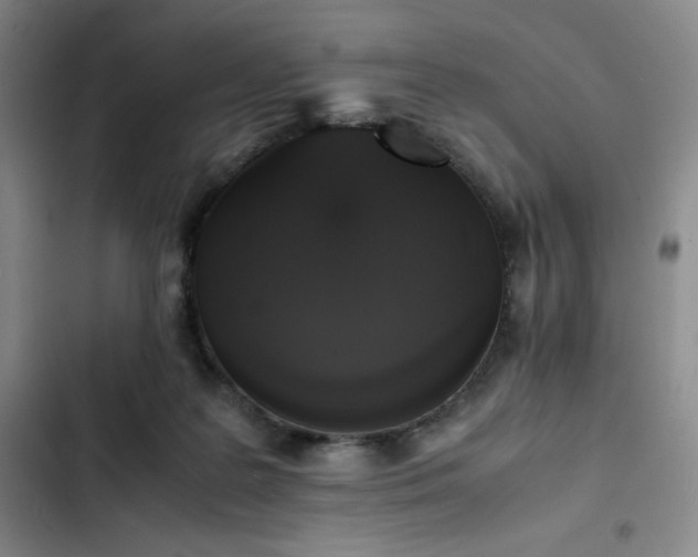 X0000102860219200808251234